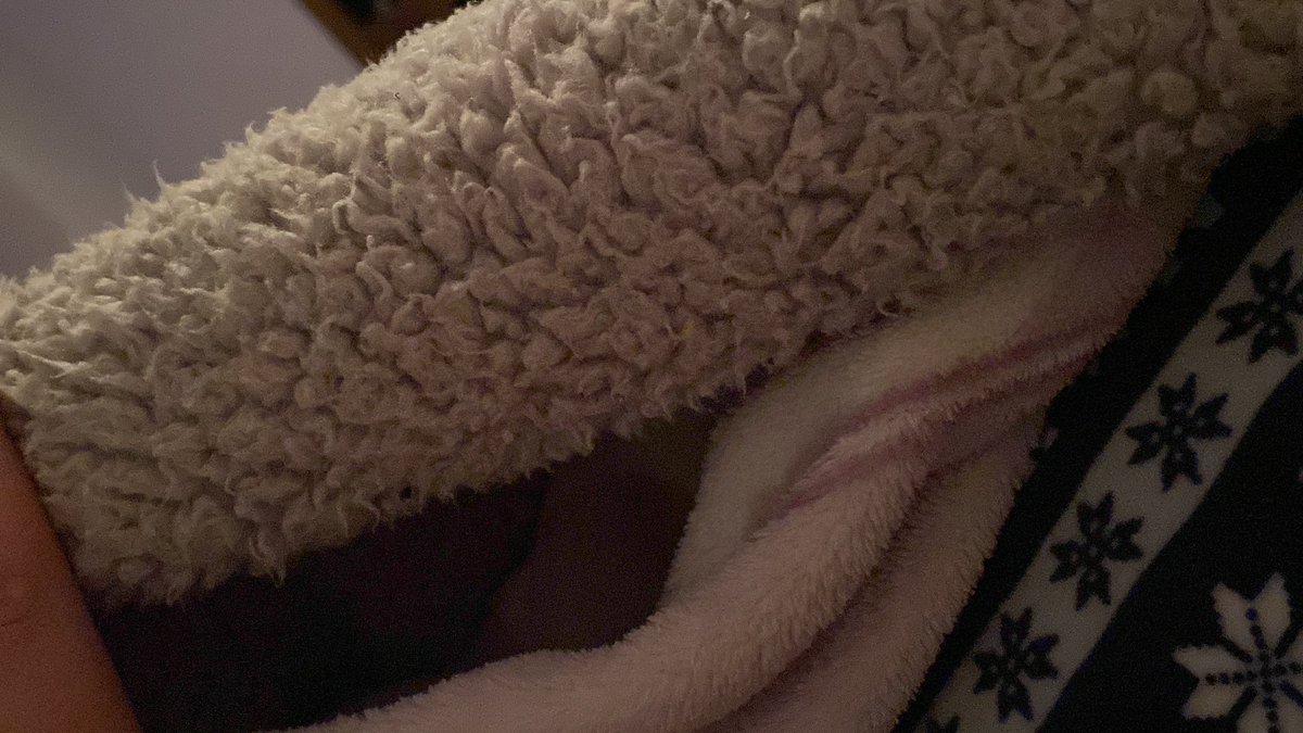 Quién es capaz de salir de aquí, esto te atrapa jajajajaj ❄️😰