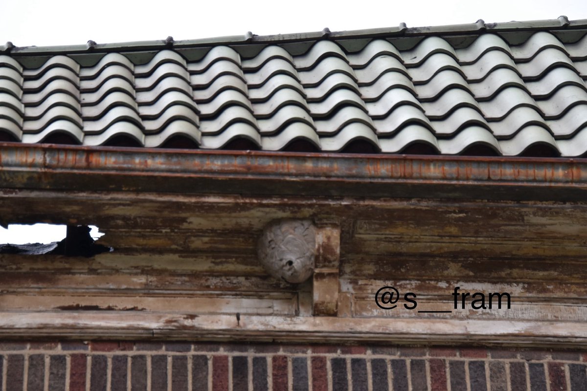 s__fram's tweet photo. 12/29/23 #photos #photographyisart #amateurphoto #2023resolution #usa #america #focus #art #eyeofthebeholder #image https://t.co/nce9rWThPr
