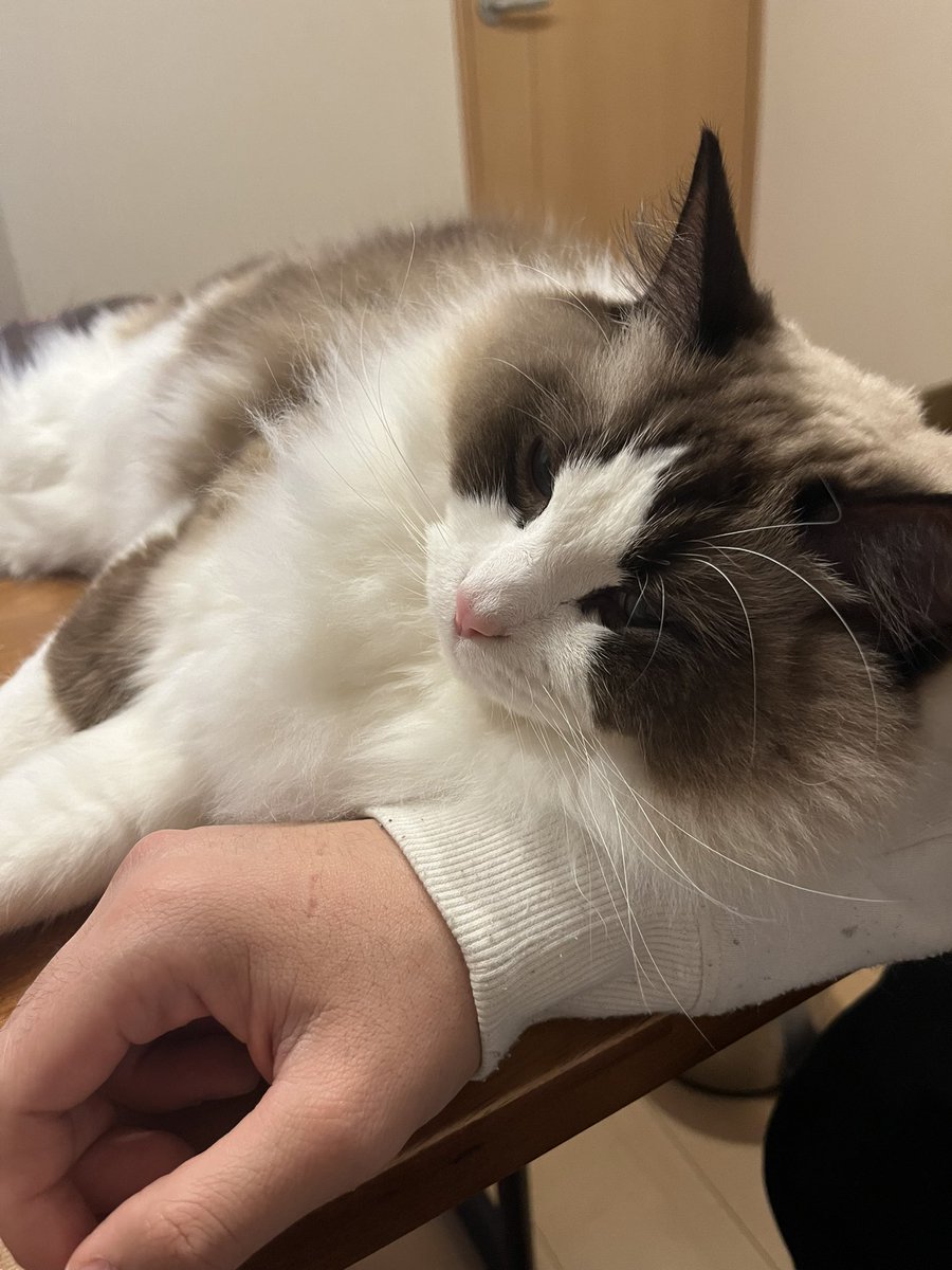 休みに入ってからずっと一緒におる