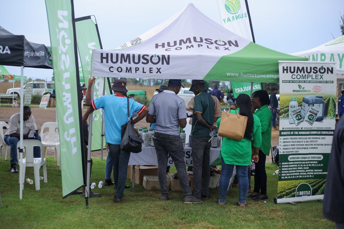 Seed Co Vegetables Zim tweet media