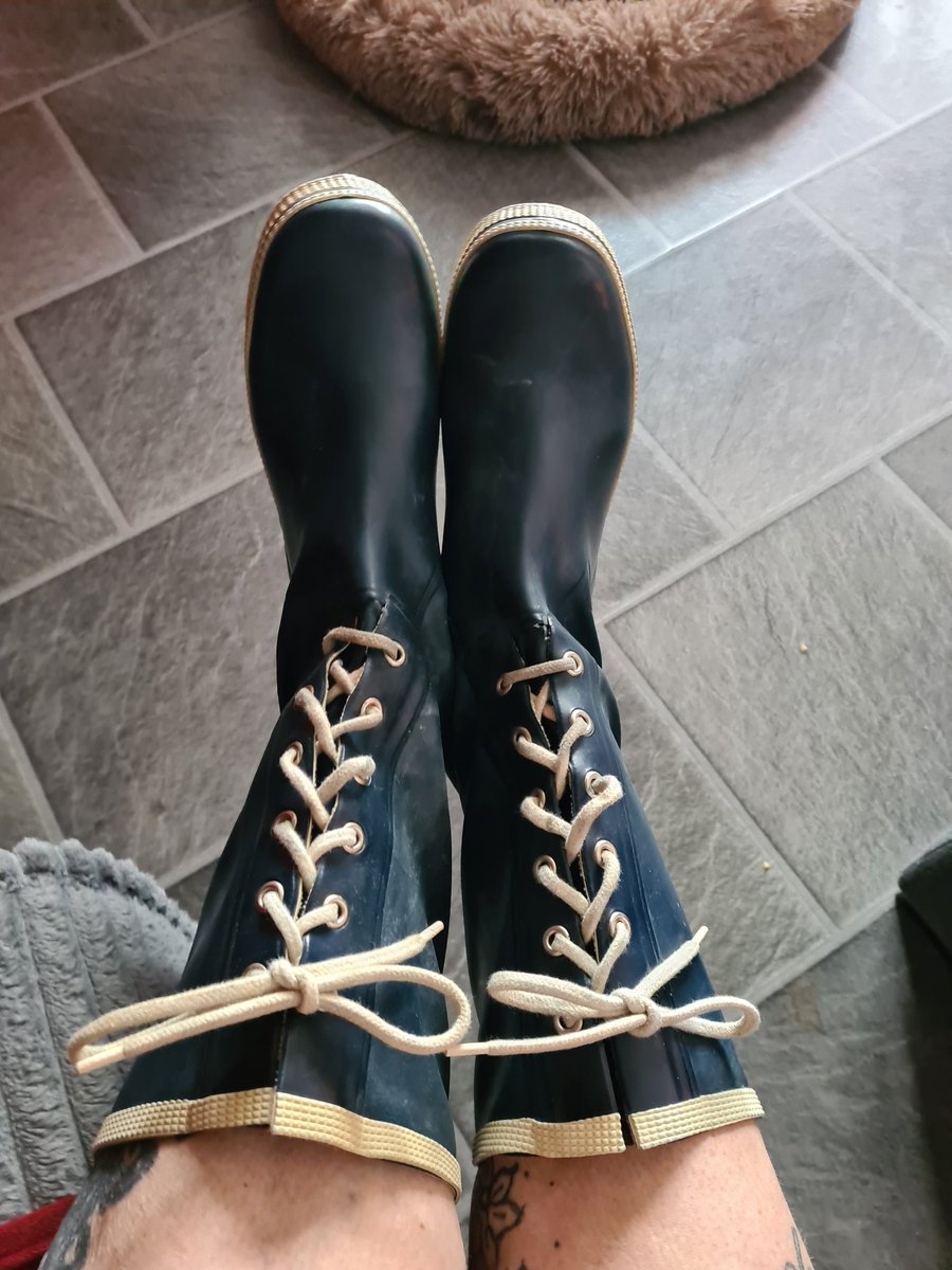 FruV15's tweet photo. Lady Stella. Slave farmen nær Østervrå Nordjylland https://t.co/fSSeUjBliV