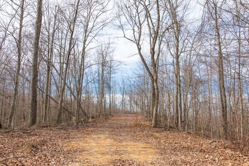 land_listings's tweet photo. Manchester, KY | $15,129 | 6.35 Acres | 6.35 Acres of Off-Grid Tranquility in Deep Woods of Kentucky https://t.co/qR2Fw8EhYK #Kentucky #residentialproperty #buyland #build #acre #realestate #land #cheapland #investing #land https://t.co/vEURruerRp