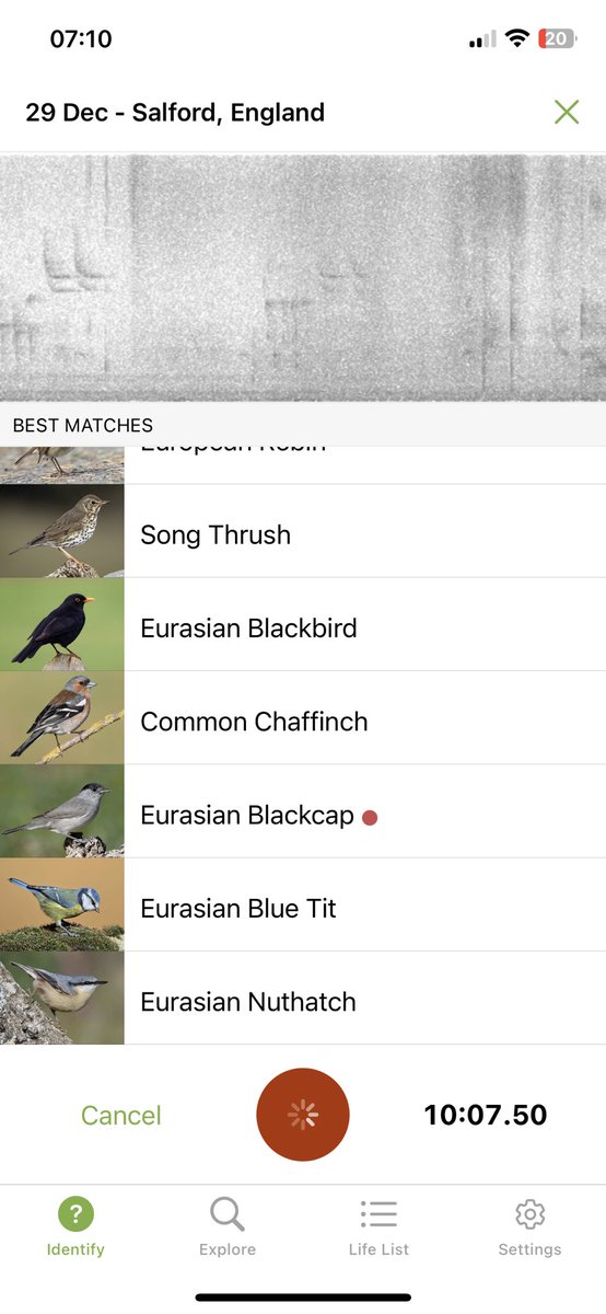 This is a brilliant app - Merlin Bird ID @MerlinBirdID It’s free, and identifies birds by their call. Here is the beautiful soundscape I woke up to this morning, including the song of a rare blackcap. 🐦 🦅 🦢