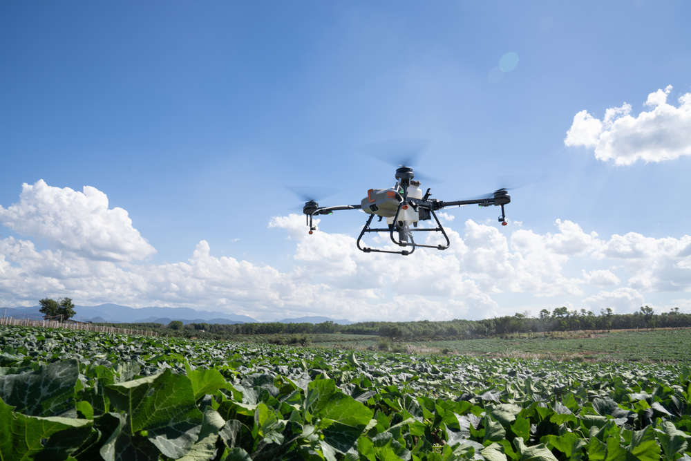 Mercado_RC's tweet photo. El Agras T-10 es un dron agrícola avanzado diseñado para la fumigación y el manejo de cultivos de precisión.

Leer más : https://t.co/rOPThCdmXL 

#djiagras #agras #agrast10 #agriculturaldrone #spray #dronephotography #viral https://t.co/B54IVtcoOM