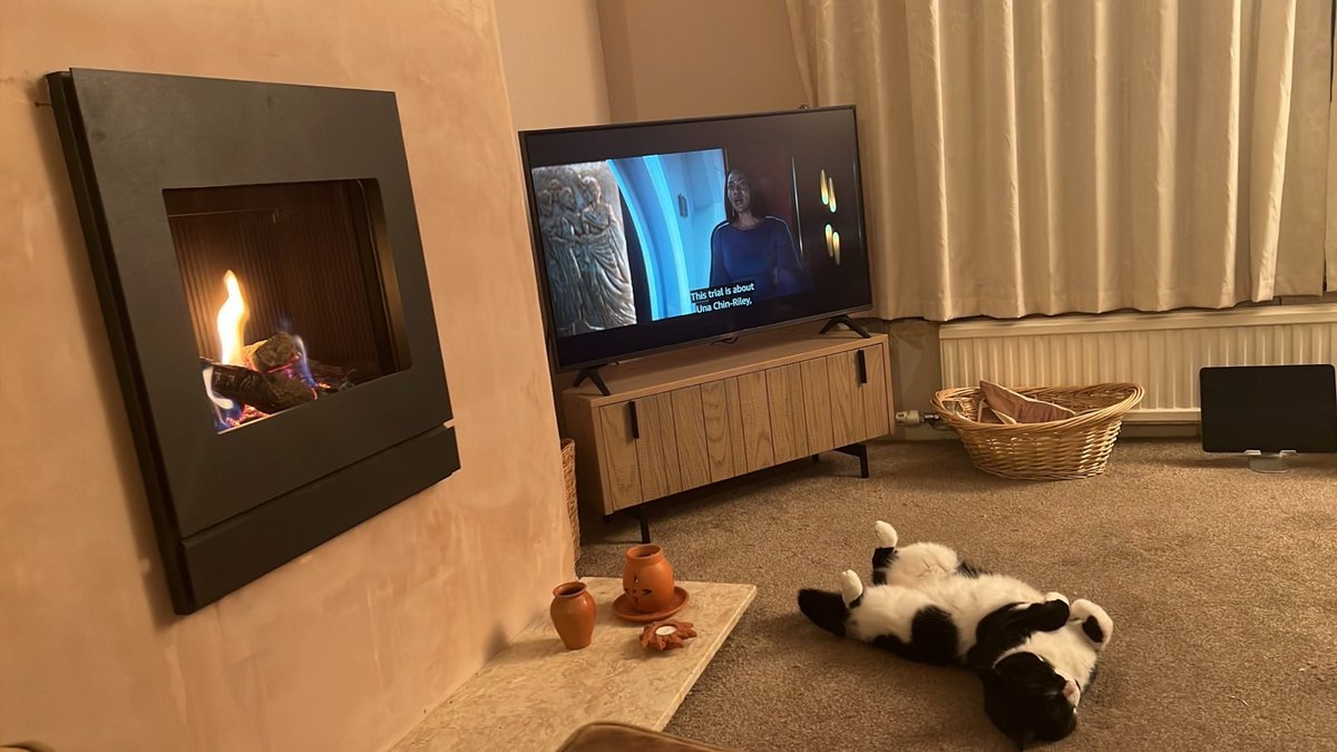markcsinclair's tweet photo. @Number10cat Albie likes the new fire https://t.co/ySSbVPp0j3