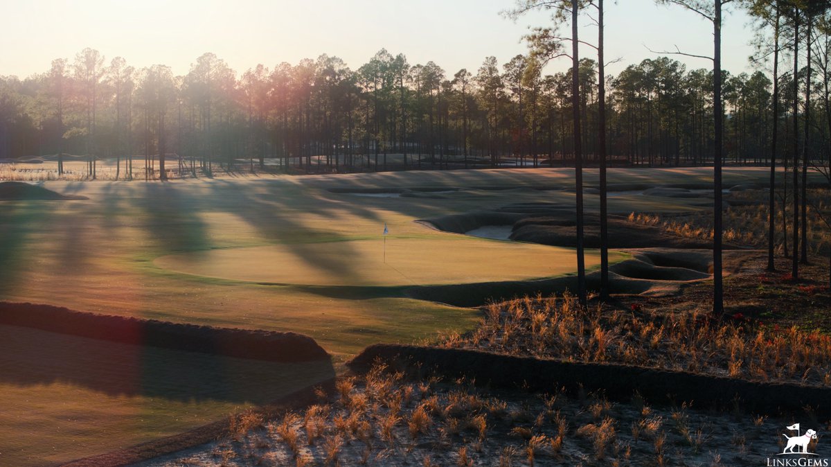 LinksGems tweet media