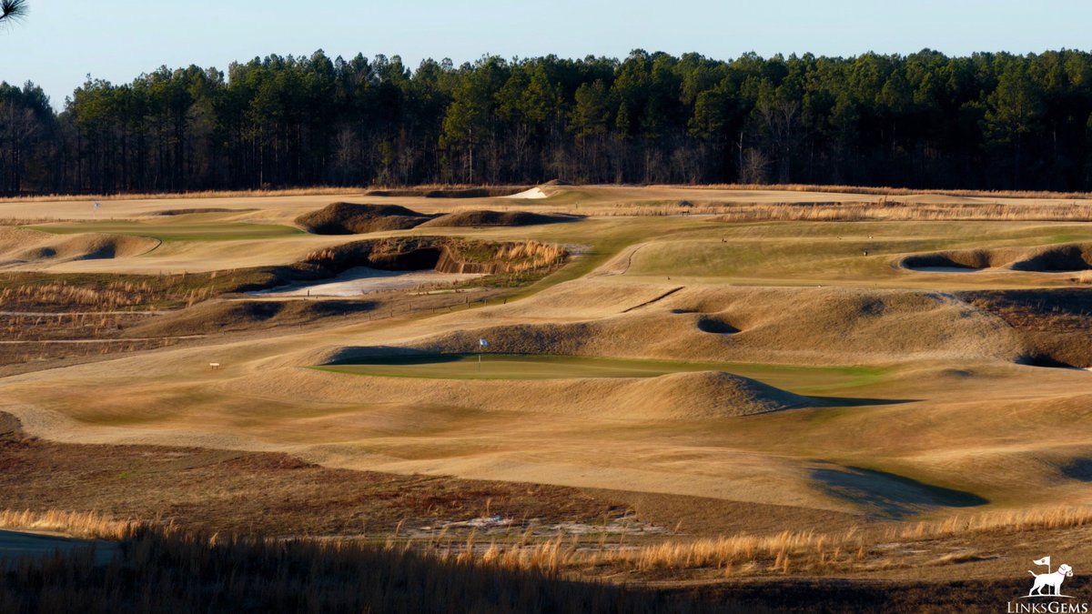 LinksGems tweet media