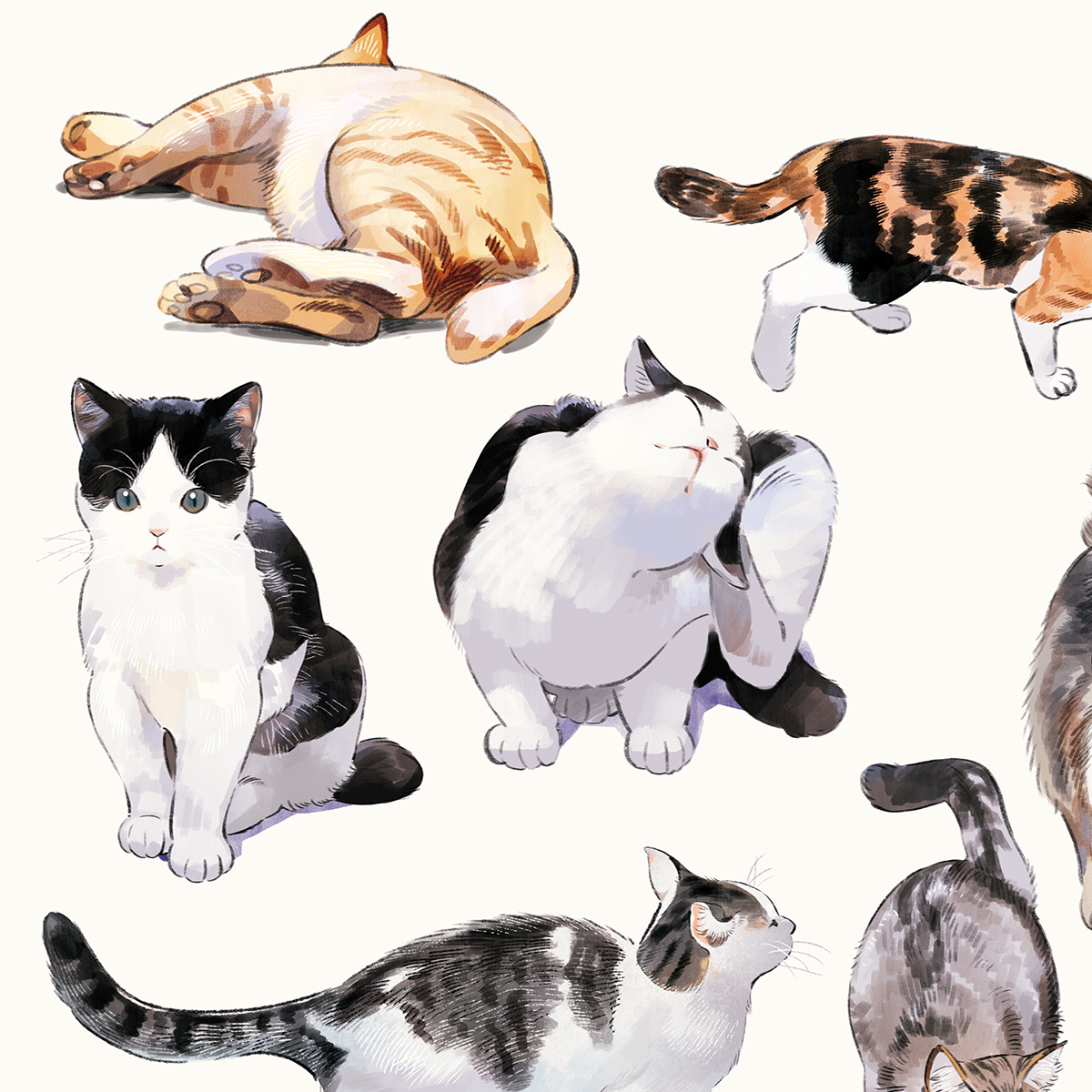 Kaisen_Tobiuo's tweet photo. 🐱🐈🐈🐈🐈🐈🐈🐈🐈♥ https://t.co/mdwyCUWGZ5