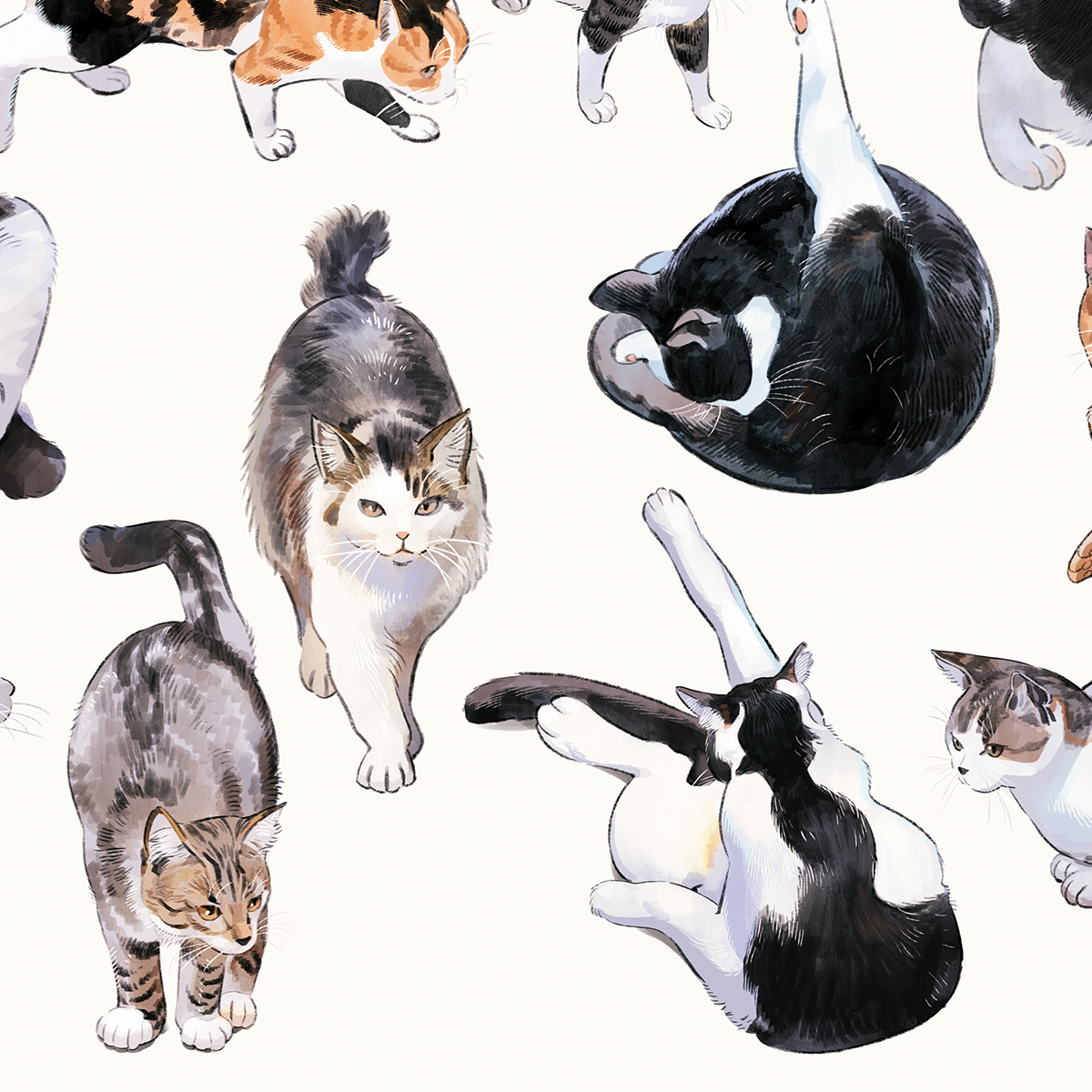 Kaisen_Tobiuo's tweet photo. 🐱🐈🐈🐈🐈🐈🐈🐈🐈♥ https://t.co/mdwyCUWGZ5