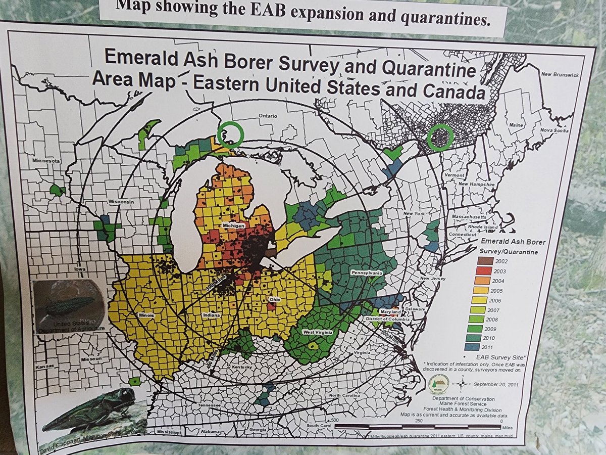 sporkife's tweet photo. @FemPresForester hi I found this kicking around the house and figured you might find it interesting in an ah fuck sort of way https://t.co/2TtjQldKg9