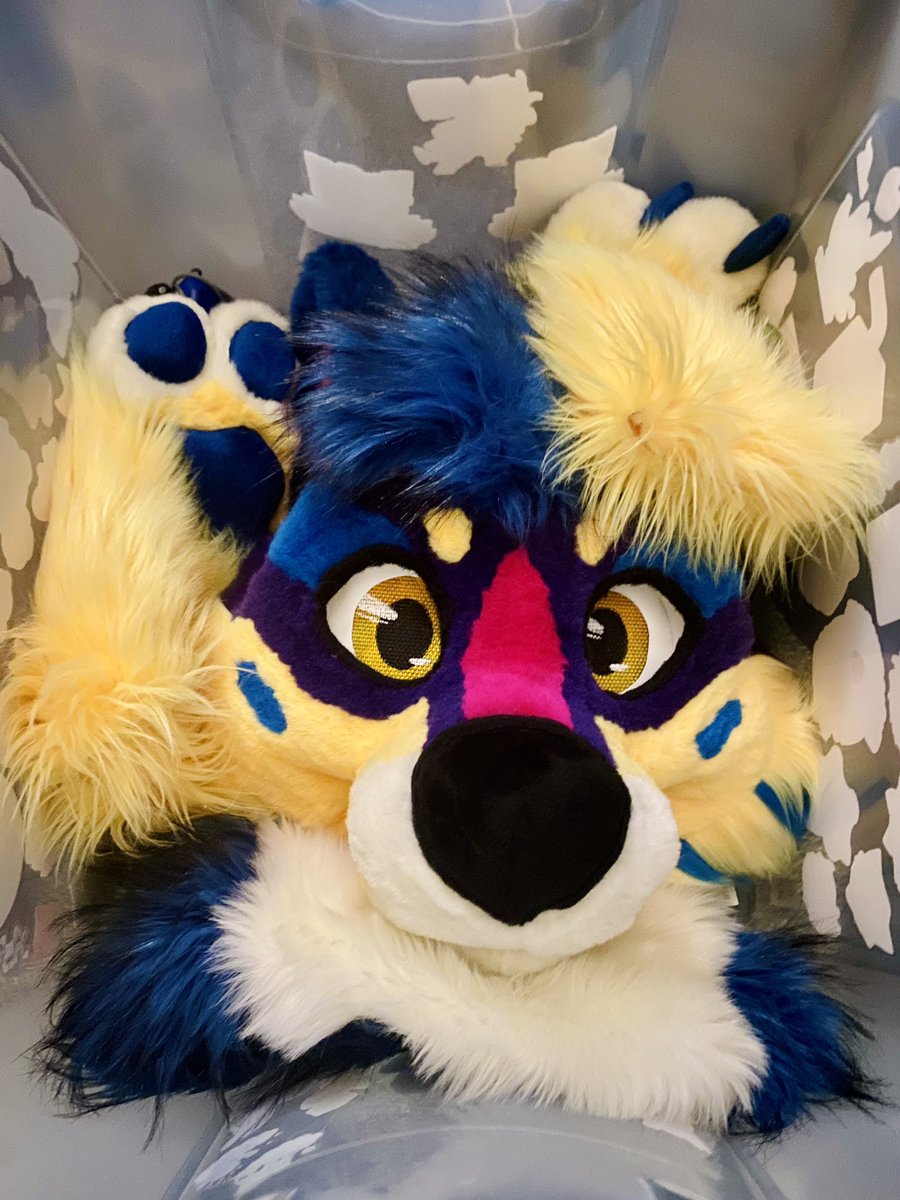 The boy is in his box and we will be heading off to Bewhiskered tomorrow after work. See you all there soon! :3