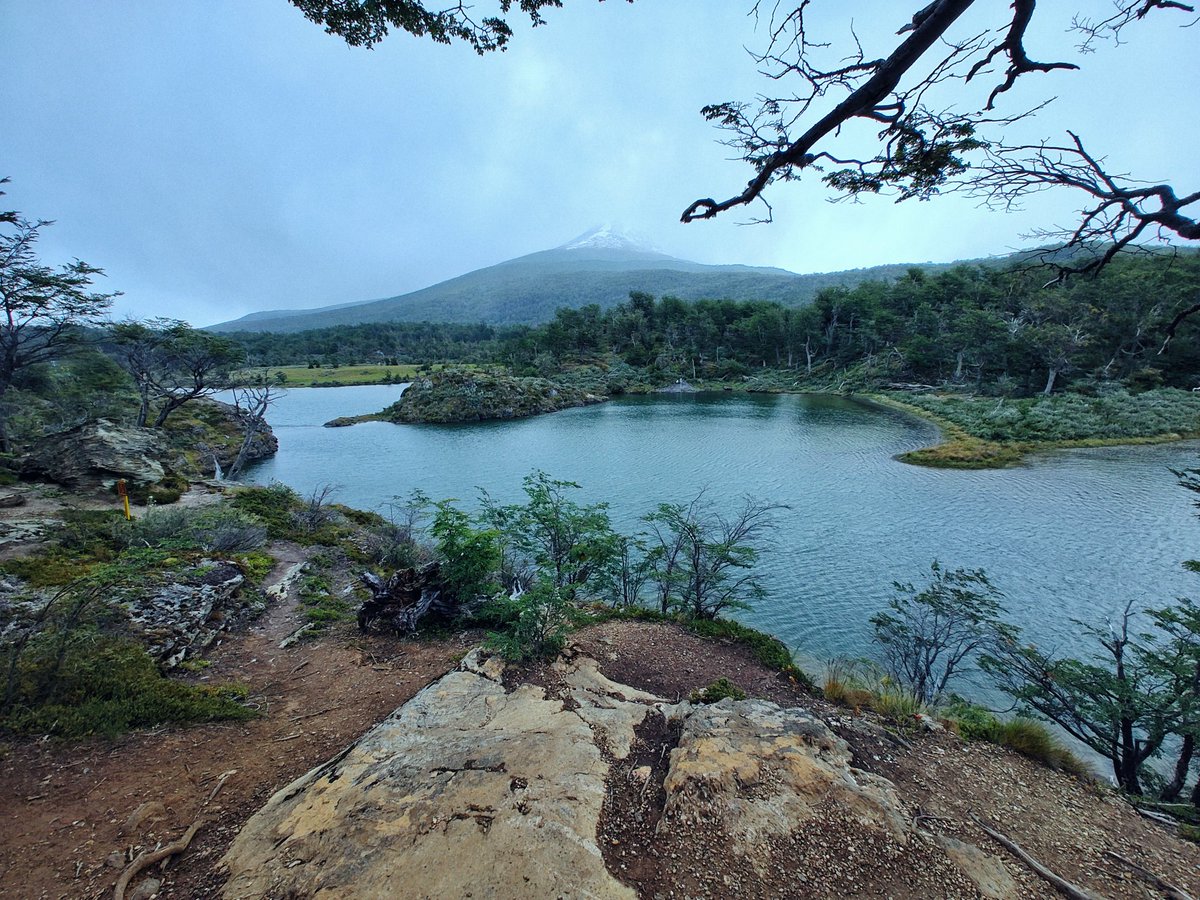 Lbaini's tweet photo. Ushuaia no tiene ningún sentido.

Todo esto solo en el Parque Nacional, demencial. https://t.co/1zKdIlJd2Q