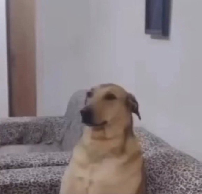 o v&iacute;deo do Gianechini gozando 😮&zwj;💨 https://t.co/1WwaekVaGX<a href="/tag/bbb24"class="tags"><span>#bbb24</span></a>