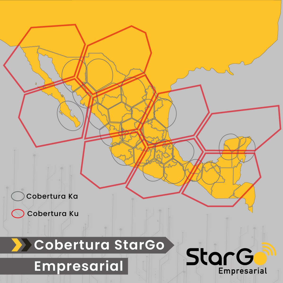 stargoempresarial tweet media