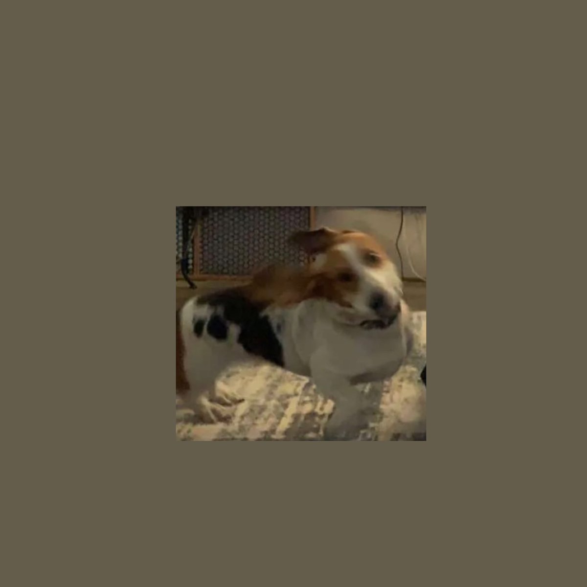 xHe4rt's tweet photo. @babaspizza My dog Betty. The cutest dog ever. https://t.co/EdXcFkINvE