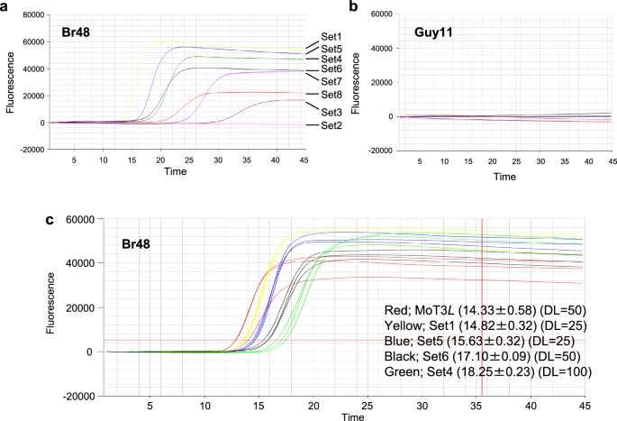 JGenPlantPathol's tweet photo. Published online🧬:
Specific detection of #Pyricularia oryzae pathotype #Triticum using #qPCR and #LAMP methods
https://t.co/lHiE1YwzLZ
Get free fulltext with ID 1162🆓🔓
https://t.co/J8rEr9uvPL
#Magnaporthe #WheatBlast #PlantPathology #PlantDisease https://t.co/Mh2sBFkeS4