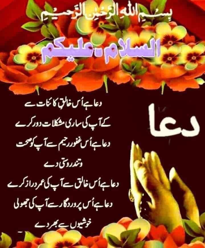 اسلام وعلیکم♥️
صبح بخیر❤