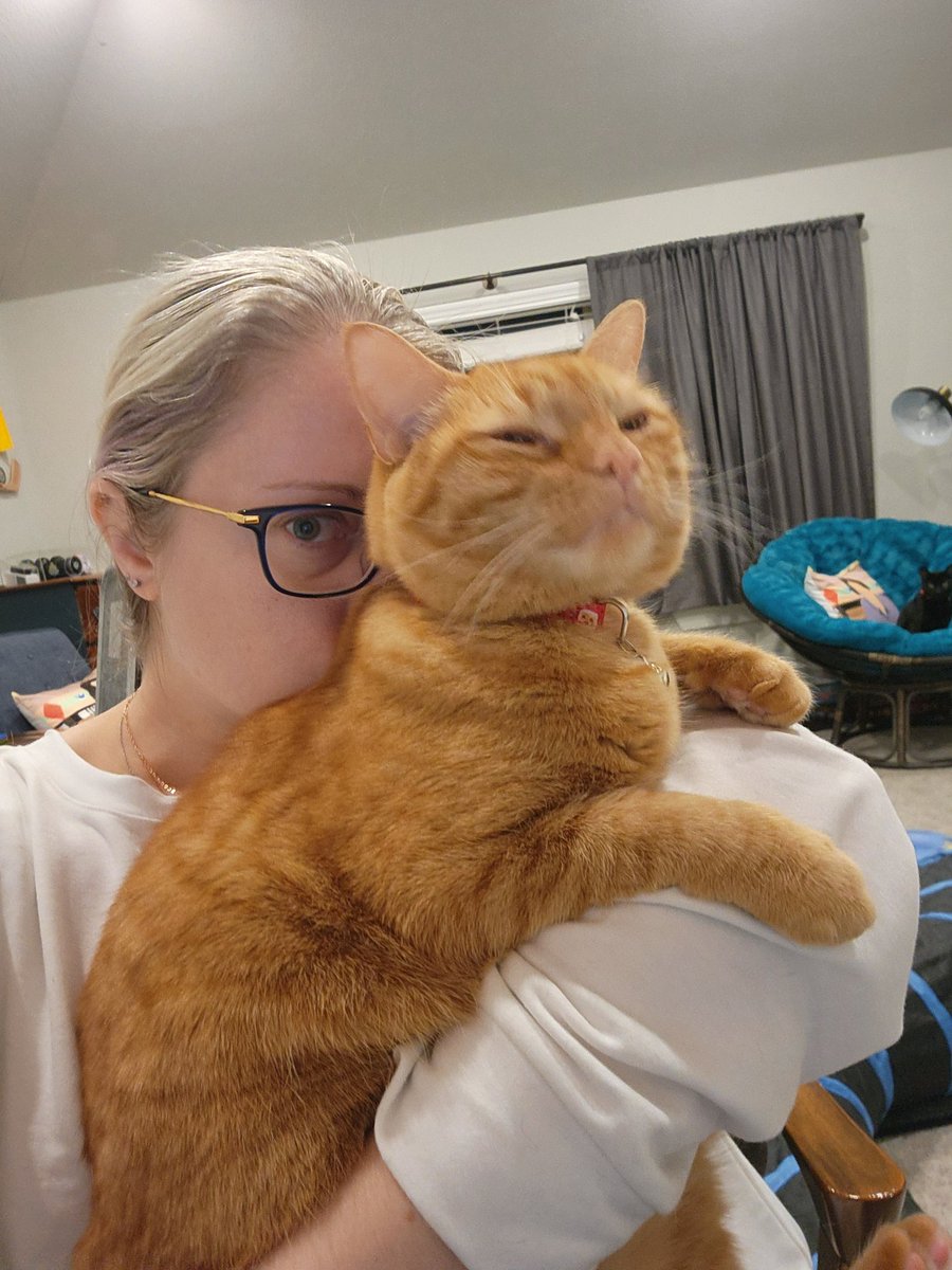 AllanHamsteak's tweet photo. Today momb gib @HashbrownJean scoobs and cuddles... Then they realize I in my pop-on chair watching wiff jealous. https://t.co/MQPL8yuMFX