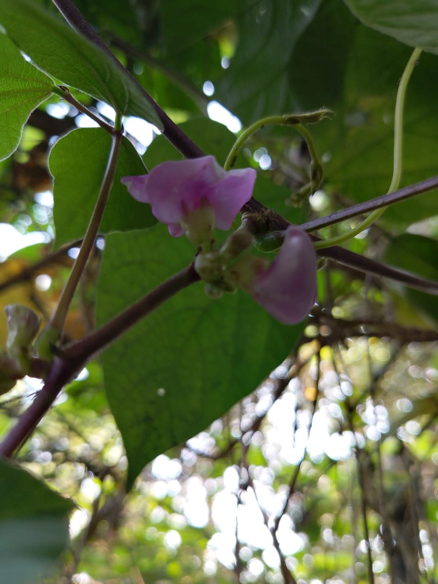 #bestphotochallenge #photography #photooftheday #PHOTOS