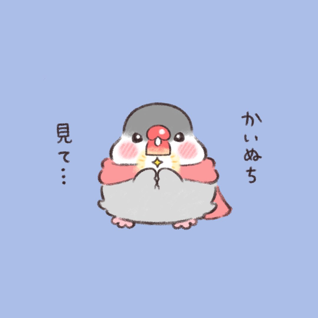 かいぬち。 今年も終わるね。  #桜文鳥