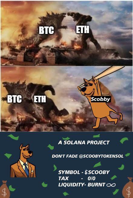 Predators_AJ0's tweet photo. @MrBigWhaleREAL $scooby https://t.co/QvsUyGJbF4