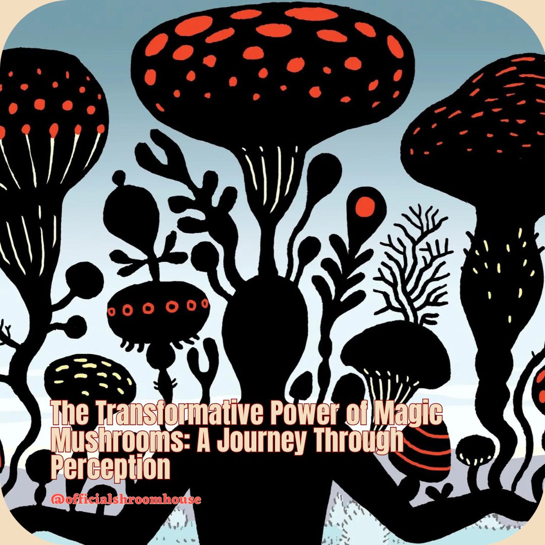 Magic mushrooms and psilocybin amplify perceptions, unveiling vibrant colors and deep introspections. These experiences challenge our reality, offering fresh perspectives and emotional healing. 🌈🧠 #MagicMushrooms #PerceptionShift #EgoDissolution