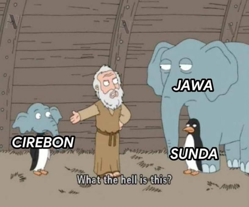 qrivasi's tweet image. 