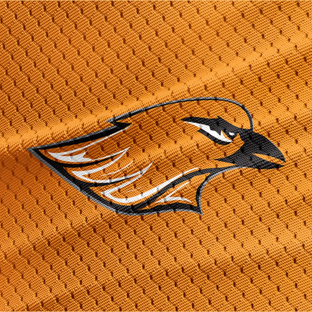Hartford rockets is an organization dedicated to the youth of the Hartford community and the sport of football. Ages from 14 and under. For more visit: hartfordrecreation.org/default.aspx. #broncoswillreign