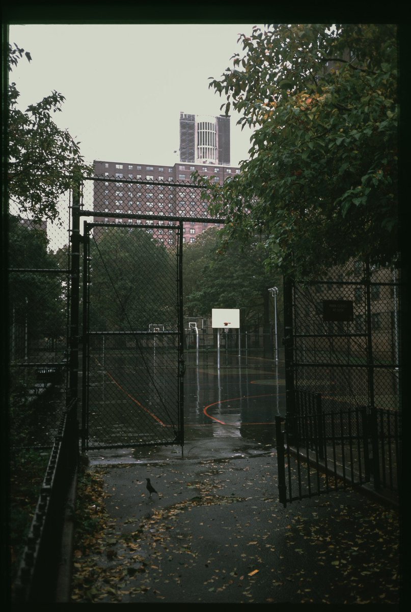 Bushwick Houses playground

Bushwick, Brooklyn, NY 2018.