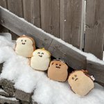 Photo by chanelcoco 🍞 (@chanelcoco)