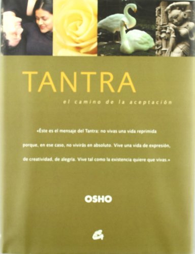 ysem lilli anna tweet media