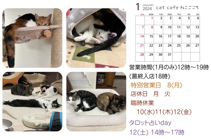 ねこごこち01月営業カレンダー