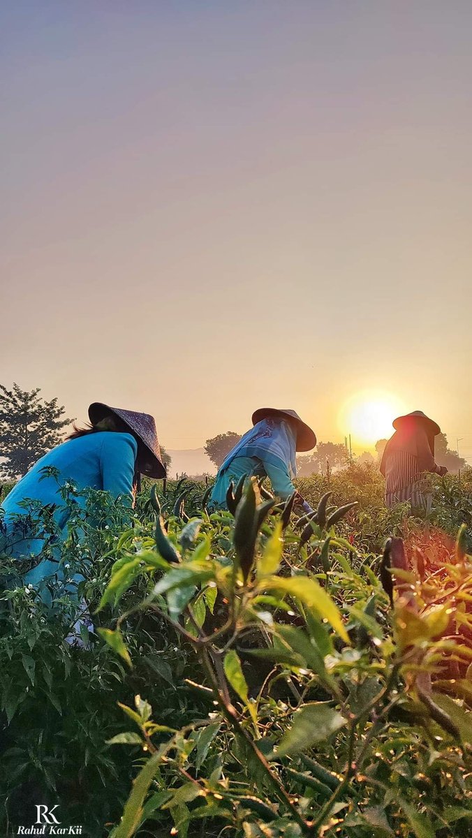 Rahul_Gonzalez7's tweet photo. The more we developed the more we far from our satisfaction and forgot that Satisfied life is better than Successful life. 
🏞🖼🌄🛣🚵🚵📸📸
#Myanmar #Mandalay
#Mobilephotography 
#Nature #NaturalBeauty #naturelovers  #traveldestination   #landscapephotography #landscapelovers https://t.co/VcBWb9VGFp
