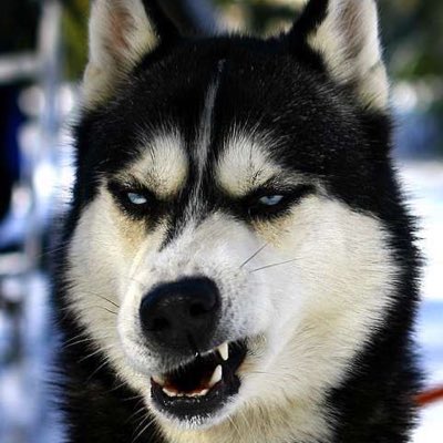 manit0025's tweet photo. #NewProfilePic https://t.co/ugtvIS9pRQ