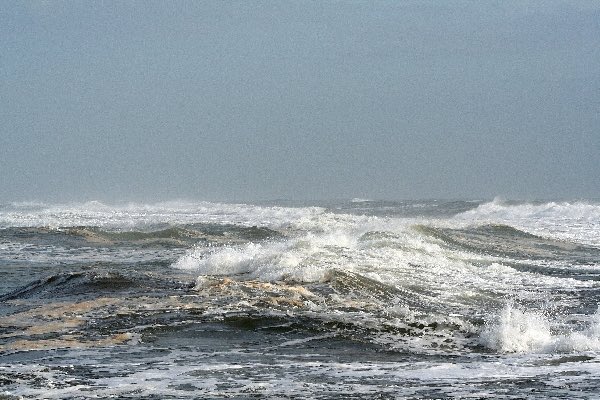 ocnkei's tweet photo. 鹿島灘の荒波🌊
全てを巻き込んでいく勢いで
いる。
年末だって言うのに、今日の
鹿嶋は温度計は35度
昨夜の天気予報、明日はどんどん
気温が上がりますと
言っていたが、ほんと。
リビングに入る��うとうと、
眠ってしまいそうな気だるさが
襲う https://t.co/3YcfWDJa08