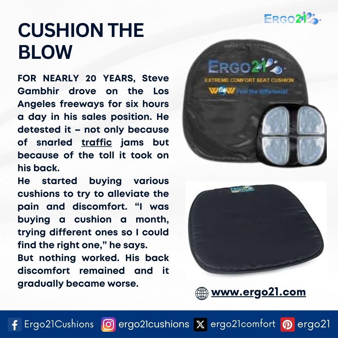 Why Should You Invest in a Lumbar Support Cushion for Your Office Chair? -  Ergo21