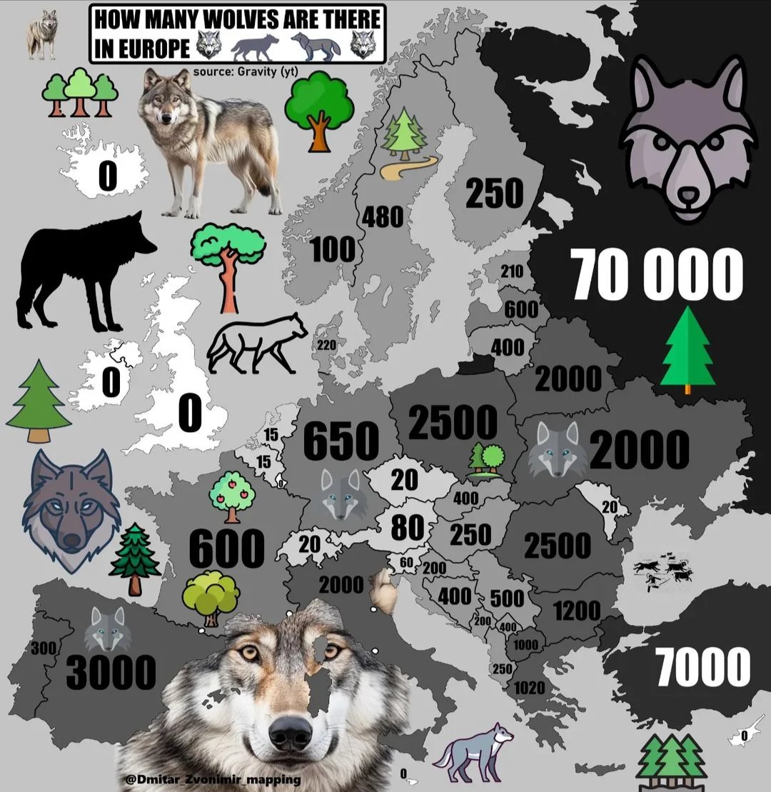How many wolves are there in European Countries?