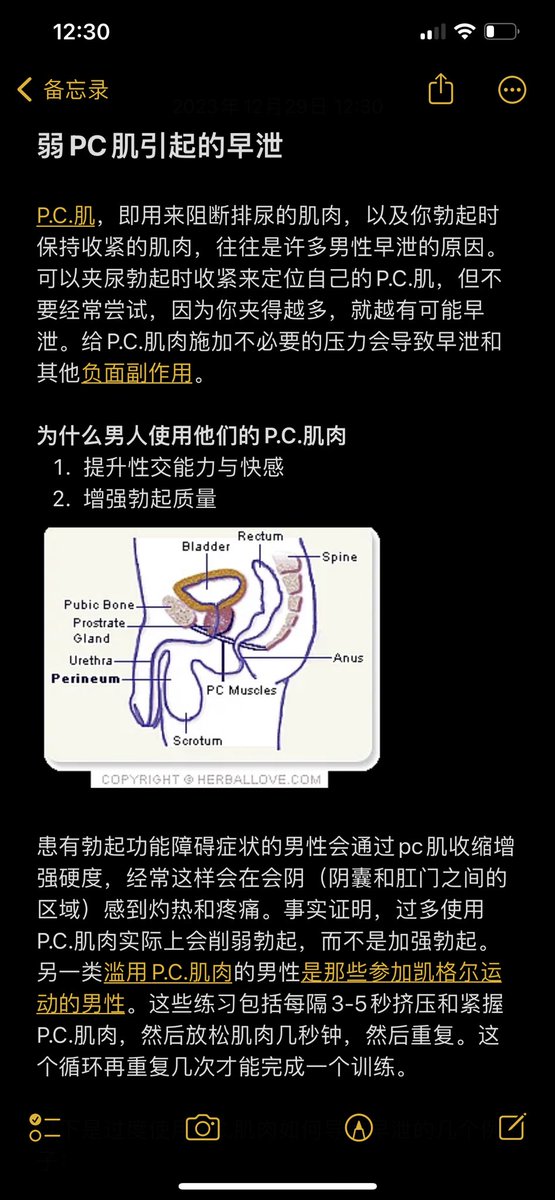 PEEDAKEY's tweet photo. 弱化pc肌早泄训练计划
原理是通过弱化pc肌的训练使Pc肌松弛无力，预射精的时间提前，���立pc肌收缩与前列腺刺激和副交感神经的阻断反射达到：
1无手收缩鸡巴就能射
2即使性交也没有阀室的无意识流精
3极限缩短性交时间

谨慎哦！可能会漏尿，不过我想你们这些骚逼会觉得更刺激吧 https://t.co/55sbfLoCD2