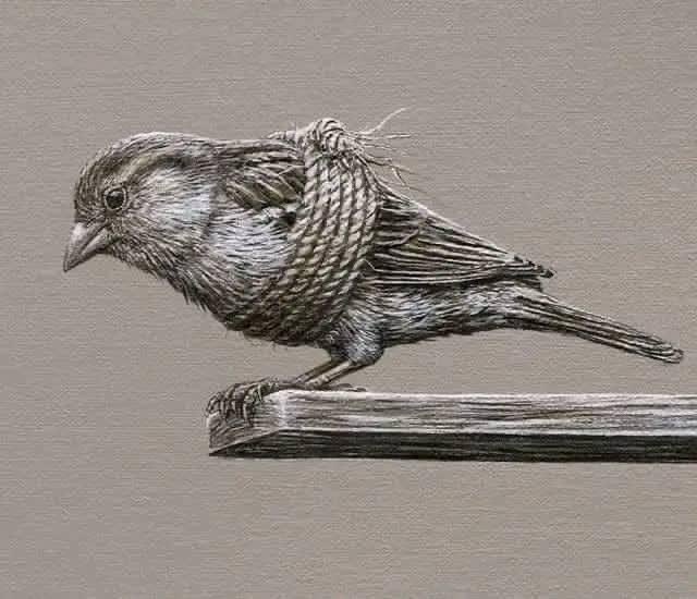 THERE ARE 5 TYPES OF WEALTH 

1. Financial Wealth ( Money and Possessions)
2. Social Wealth ( Status and Popularity) 
3. Time Wealth ( Freedom) 
4. Physical Wealth ( Health and Vitality) 
5. Spiritual Wealth ( Peace of Mind, Self Respect) 

Be careful to create a balance in your