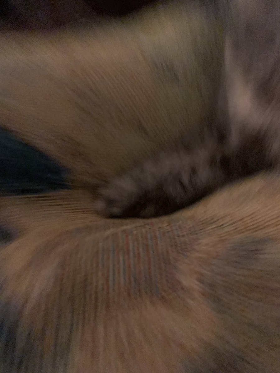 𝔪𝔞𝔱𝔱𝔥𝔢𝔴 𝔡𝔢𝔳𝔦𝔩 (@matthew_devil_) on Twitter photo 