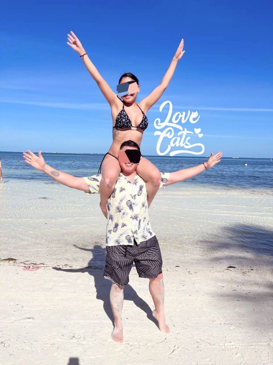 Love Cats tweet media