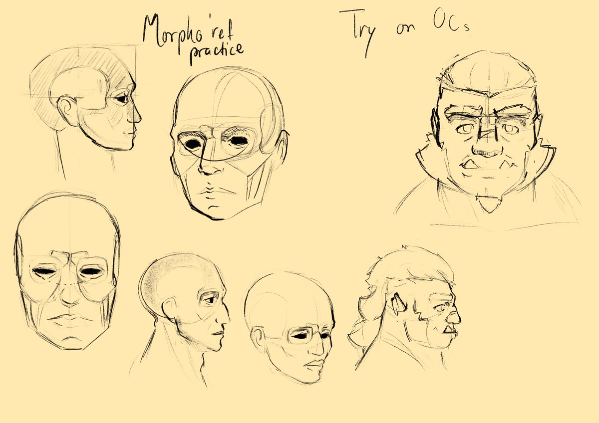 Practice and study some anatomy sketches starting from the head.