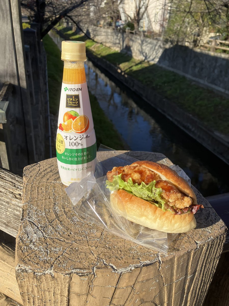 toki_yoshitoki's tweet photo. 陽だまりの���では時がゆっくり進む
(かゆ太郎) https://t.co/iFeDXcc8uP