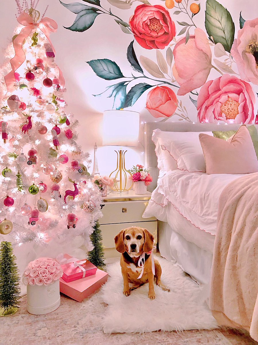 BeagleTopazthe's tweet photo. Hi furriends happi holly days to you!๐
#DogsInDecor #PinkChristmas #ChristmasTree #FlowerLovers #SweetDog #BeagleLove @beaglefacts https://t.co/7JpM1C1cmE