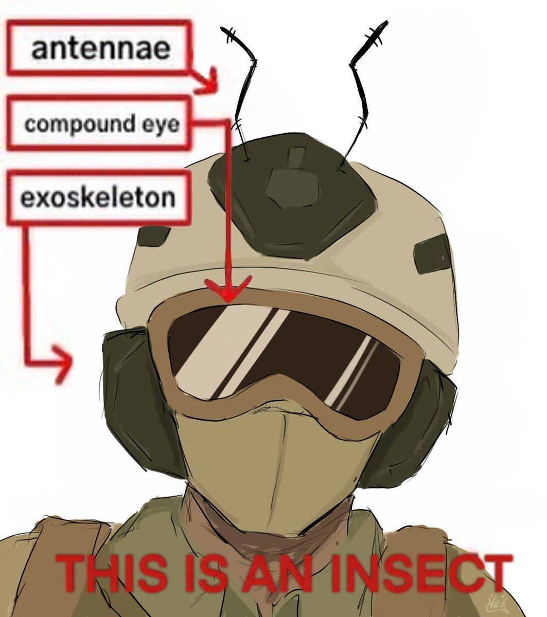 vileghosts_'s tweet image. do u think the only time roach spoke was to infodump about bugs (projecting)
#garyroachsanderson #roachcod #mw2