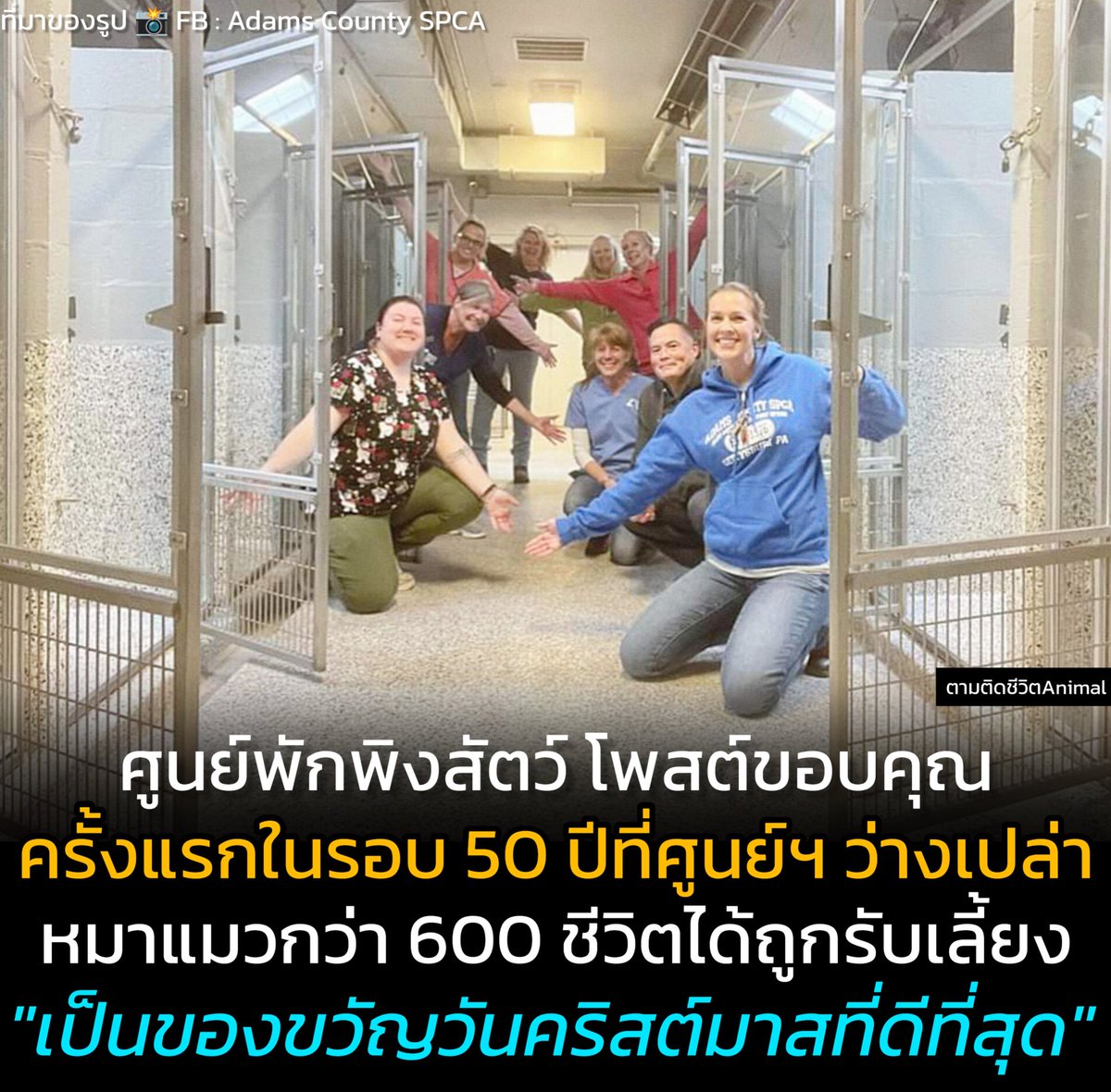 AnimalFW_TH's tweet photo. ศูนย์พักพิงสัตว์ Adams County SPCA ในสหรัฐอเมริกา โพสต์ขอบคุณ ที่น้องหมาน้องแมวกว่า 600 ชีวิต ถูกรับเลี้ยงจนศูนย์ฯ นั้นว่างเปล่าภายใน 2 สัปดาห์ ถือเป็นสิ่งที่มหัศจรรย์ที่เกิดขึ้นในรอบ 50 ปี และเป็น "ของขวัญที่ดีที่สุดในวันคริสต์มาส" ให้กับน้องหมาน้องแมวที่จ���เข้ามาเติมเต็มความสุขให้แก่ผู้ที่รับไปดูแล 🥰🥰🥰

เรื่องราวอบอุ่นหัวใจจากศูนย์พักพิง Adams County SPCA ในสหรัสอเมริกา ที่ได้ออกมาโพสต์ขอบคุณทุกคนที่ให้การสนับสนุนและรับน้องหมาน้องแมวจากศูนย์พักพิงกว่า 600 ชีวิตไปดูแล 

อาสาสมัครที่ดูแลศูนย์พักพิงเล่าว่า ก่อนหน้านั้นประมาณ 2 สัปดาห์ เราแถบไม่เหลือห้องพักเพียงพอสำหรับรับสัตว์ไร้บ้านมาดูแลแล้ว แต่ตอนนี้แถบไม่เหมือนน้องหมาน้องแมวในศูนย์เลยสักตัว  เราไม่รู้ว่ามันเกิดขึ้นได้อย่างไร แต่ก็ขอขอบคุณที่ทุกคนให้การสนับสนุน และ��วังเป็นอย่างยิ่งว่า เด็กๆเหล่านั้น จะเป็นของขวัญในวันคริสต์มาสที่ดีที่สุด

ถือว่าเป็นเรื่องราวดีๆ ที่เกิดขึ้นในมุมหนึ่งของโลกใบนี้ แอดเพาว่ายังมีสัตว์ไร้บ้านอีกมากมาย ที่พวกน้องๆ ยังต้องการบ้าน และต้องการการเติมเต็มความสุขในชีวิต ไม่รู้สินะ ของขวัญปีใหม่ปีนี้ อาจจะเป็นลูกหมาจร ลูกแมวจรสักตัวก็ถือว่าดีนะ เพราะไม่ใช่แค่เราถูกเติมเต็ม สัตว์เหล่านั้นก็���ะถูกเติมเต็มด้วย 

เรียบเรียง 🖋️ แอดเพา
ที่มาของรูป 📸 FB : Adams County SPCA