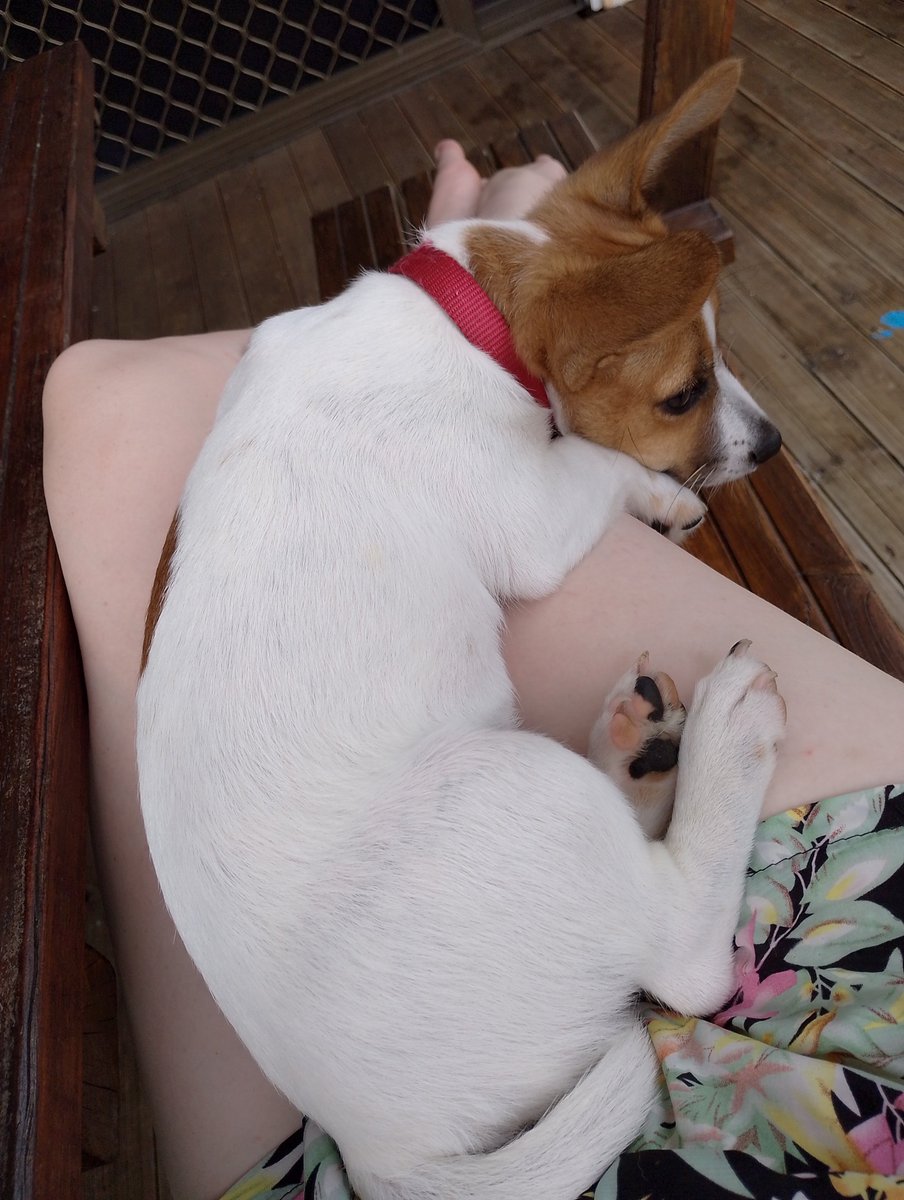 3 days without me while I was at work. I think he missed me. 🥰