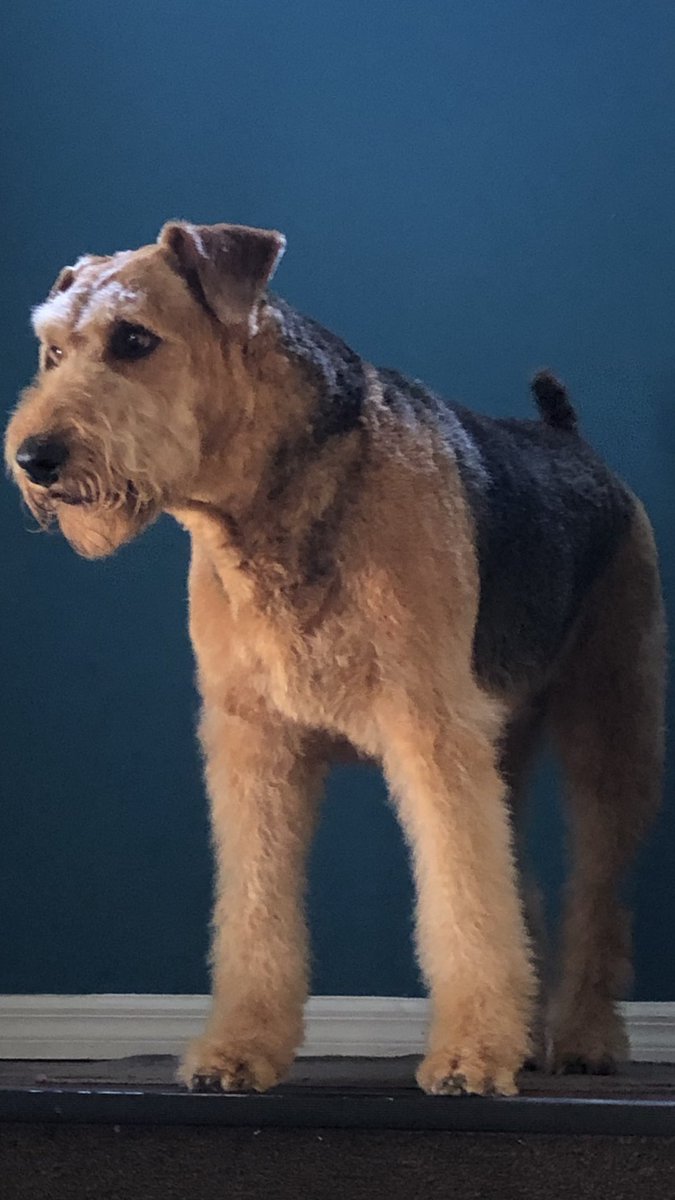 TheRealRodHayes's tweet image. Live on my best buddy. Always in my heart 💔❤️💔