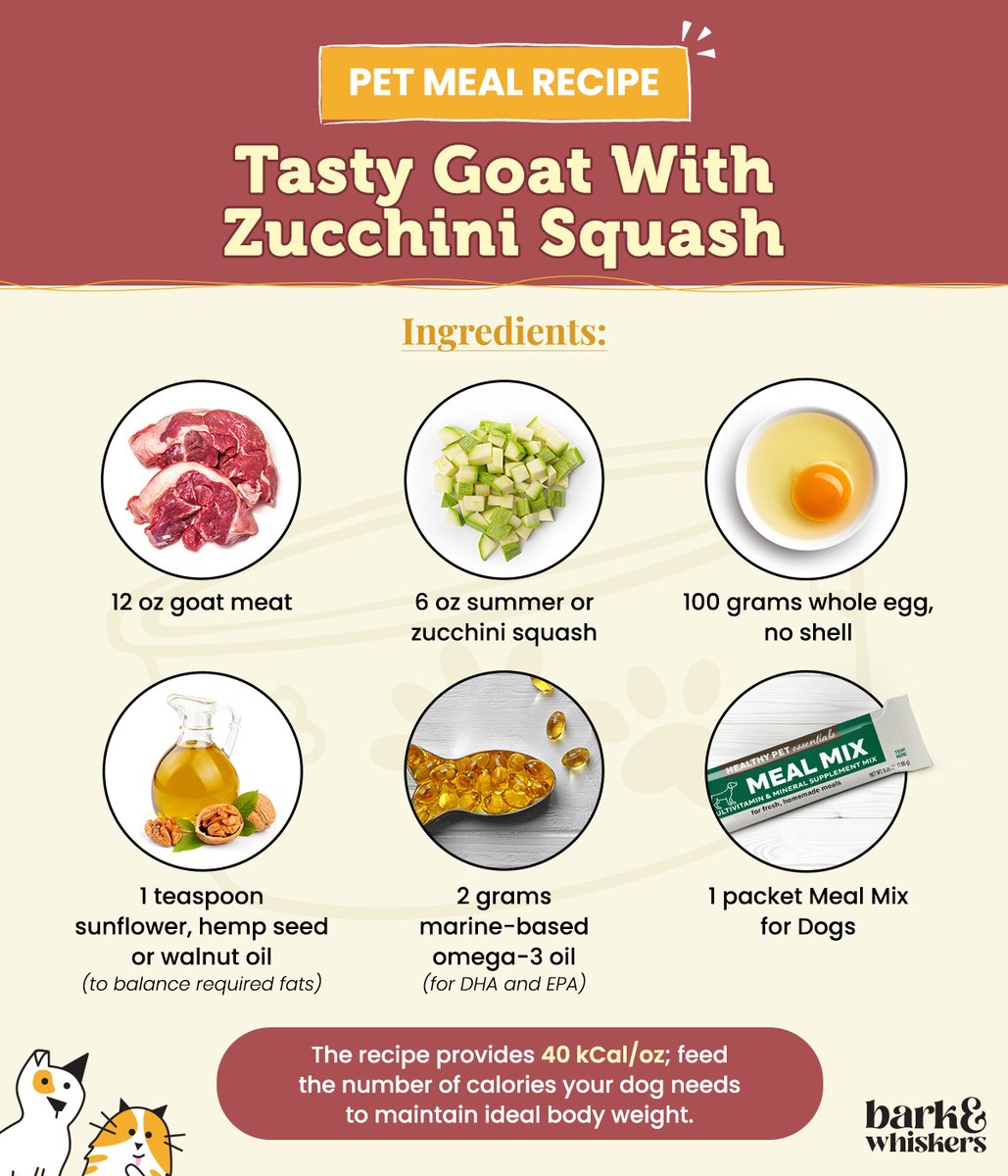 bark_whiskers's tweet photo. Start the year right for your dog with this nutritionally balanced, fresh meal right from your kitchen! 🐶😋
Get more FREE Meal Mix recipes from our Recipe Generator: https://t.co/OrZWhmv2pp
#MealMix #PetRecipe #DogRecipe #DogFood #PetFood #Dog #DogsOfTwitter https://t.co/vtfjuEsGdT