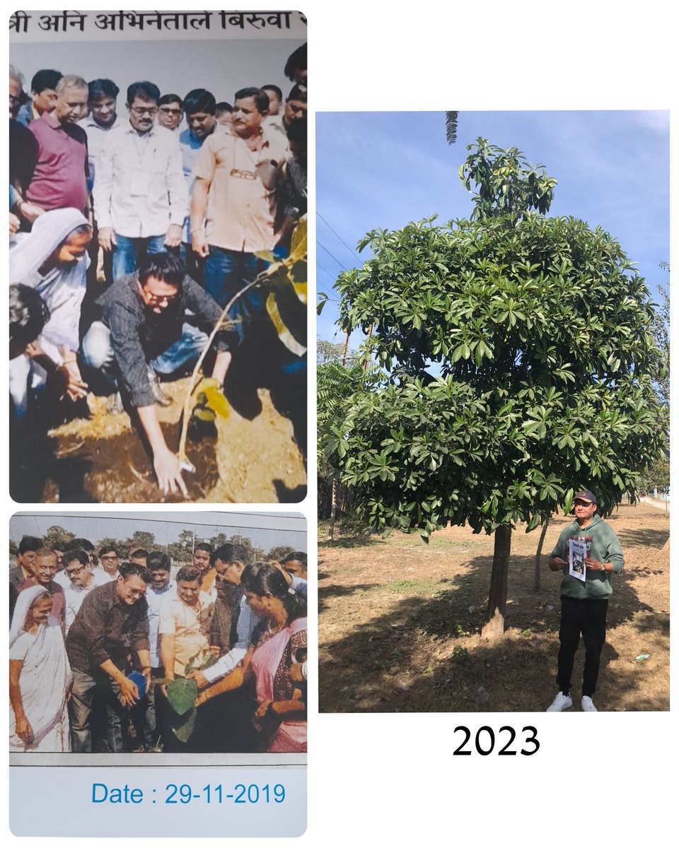 4 years ago, in Siliguri, planted a sapling as part of a Tree Plantation activity organised by Octopic. I was so overwhelmed to see how beautifully it has grown into a tree, as I stand under it's shade in 2023. #TreePlantation #Greenery